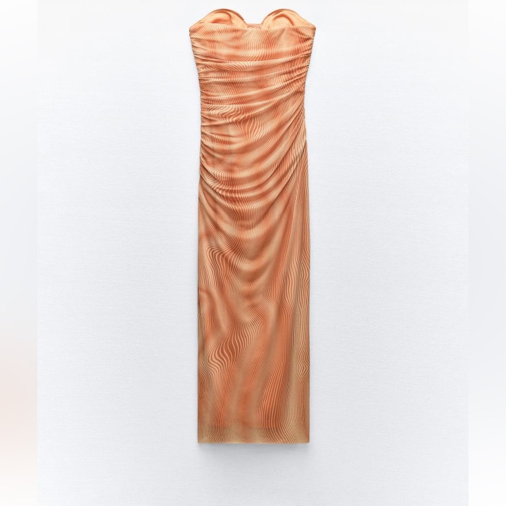 Beautiful Zara Printed Tulle Dress - Picture 7 of 8